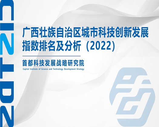 干骚比AV【成果发布】广西壮族自治区城市科技创新发展指数排名及分析（2022）